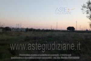 Terreno Agricolo Campiglia Marittima [A4344628]