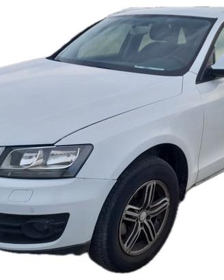 Audi Q5 2.0 TDI 170 CV quattro
