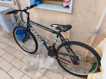 Mountain bike Frejus 