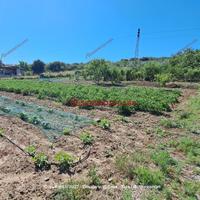 Terreno, Termini Imerese.