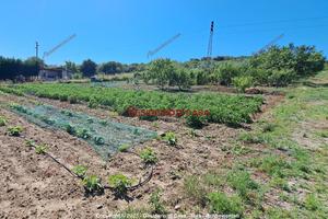 Terreno, Termini Imerese.
