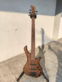 Basso Mayones BE Exotic 