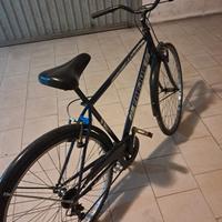 bicicleta uomo 