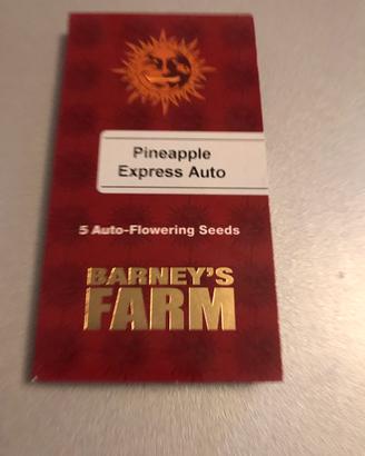 Barney pineapple auto