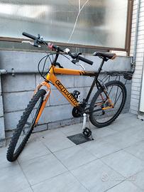 Bicicletta Capriolo diametro 26