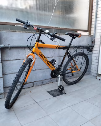 Bicicletta Capriolo diametro 26