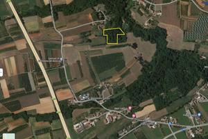 Terreno agricolo e boschivo