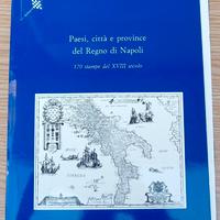 Paesaggi, città e province del Regno di Napoli