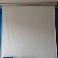 Schermo per proiettore