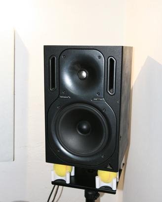 Behringer B2031A