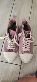 All stars Carrera