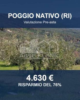 Immobile in asta di 4600 m² a Poggio Nativo