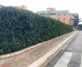 Suolo edificabile anche x hotel zona aeroporto