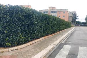 Suolo edificabile anche x hotel zona aeroporto