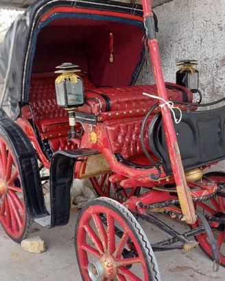 carrozza per cavallo