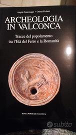 Archeologia in Valconca. Età del Ferro e Romanità