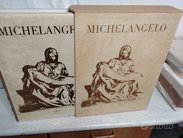 Scripta maneant.Michelsngelo assoluto