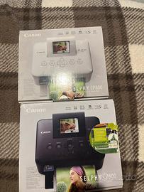 stampante selphy cp800 Canon