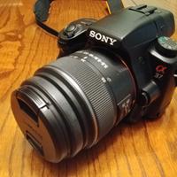 Sony Alpha A37