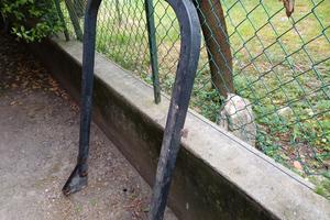 Rollbar originale Massey Ferguson o Landini