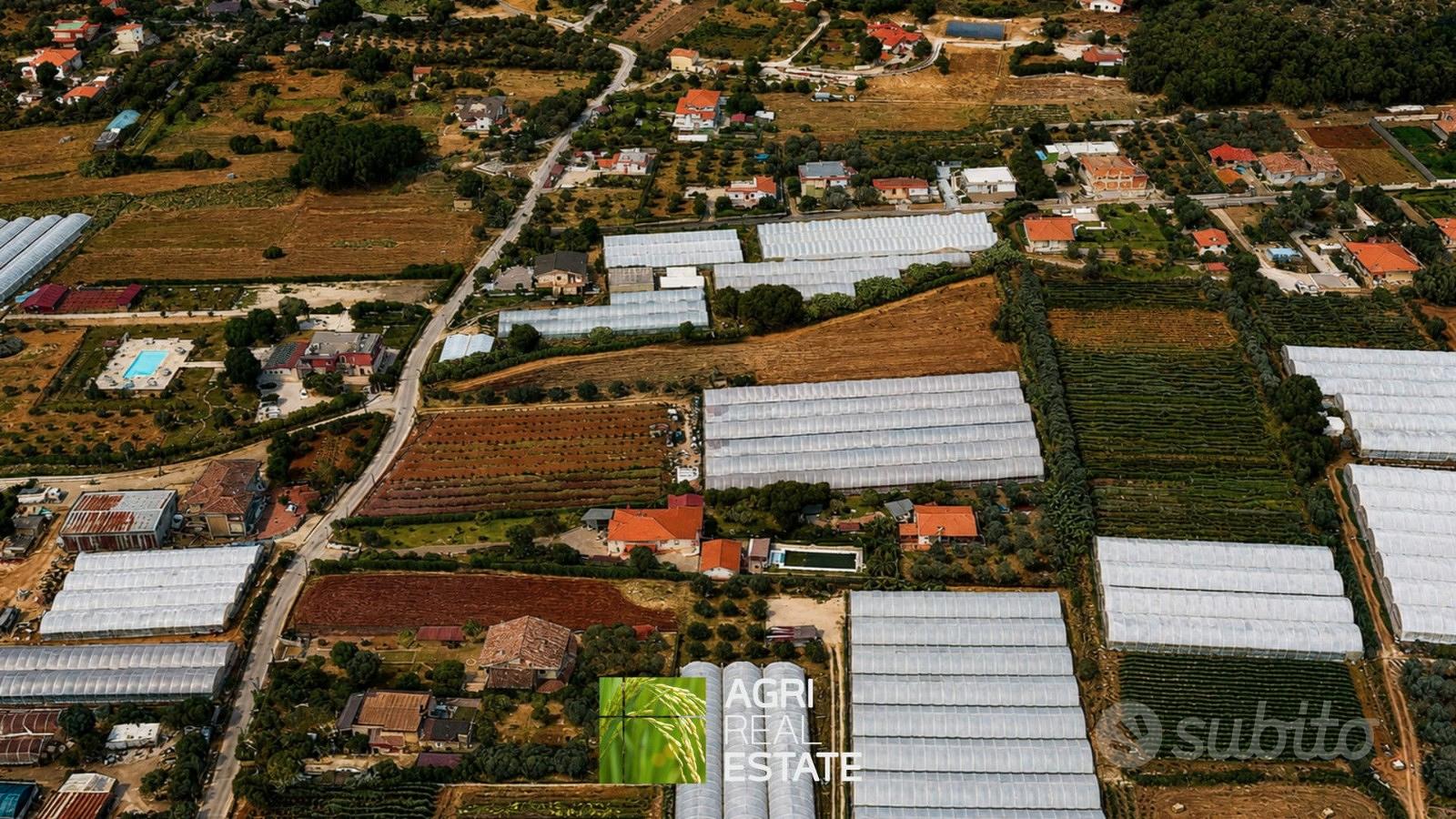 Terreno agricolo di 5.000 mq ideale per serre - Vista 4