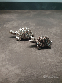 Oggettistica statuine tartaruga laminato argento