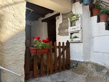 B&B Leone