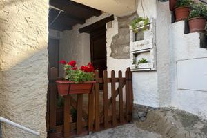 B&B Leone