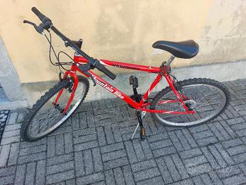Montanbike uomo