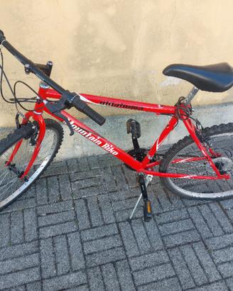 Montanbike uomo