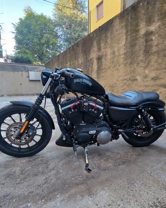 Harley Davidson Iron 883 , anno 2013 , 22000km