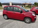 fiat-panda-1300-mjet-85-cv