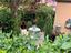 Immagine 22