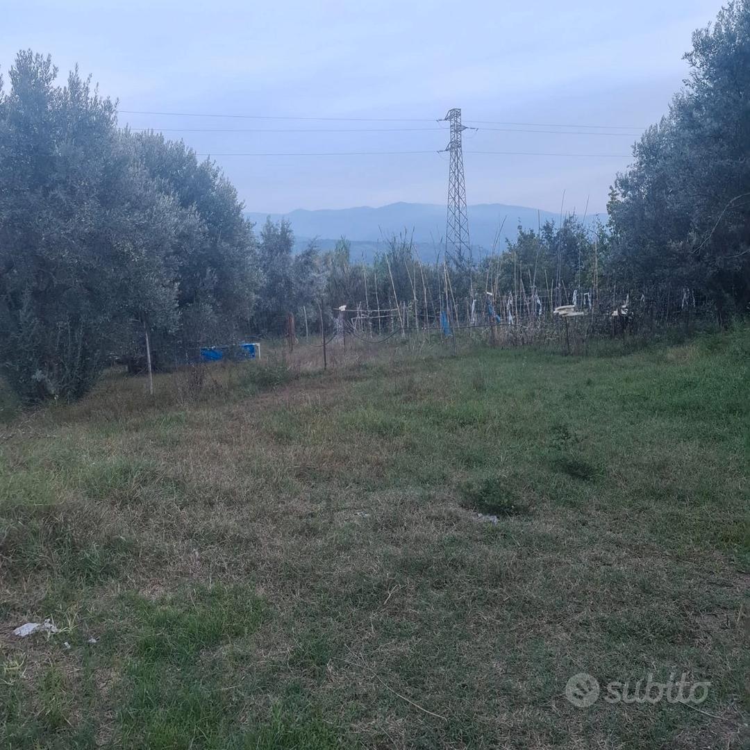 Vendita immobili - Vista 4
