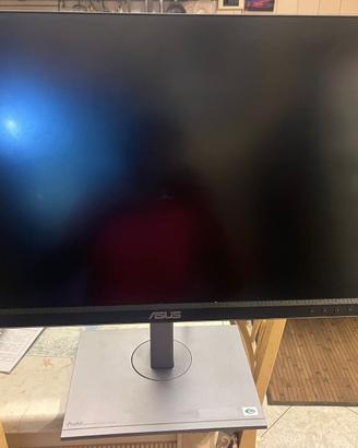 Professional display PROART 27 pollici Asus