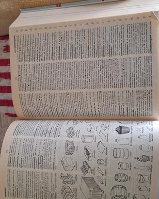 dizionario Zingarelli