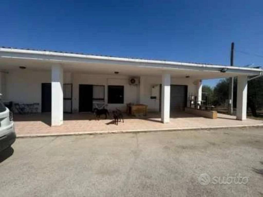 Appartamento – Peschici, Foggia - Vista 4