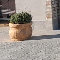 Coppia di vasi terracotta