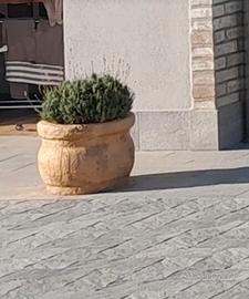 Coppia di vasi terracotta