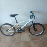 Bici 20