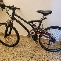 Mountain bike