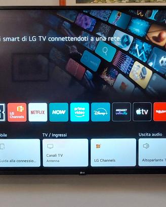 TV LG 55 Pollici PRATICAMENTE NUOVO