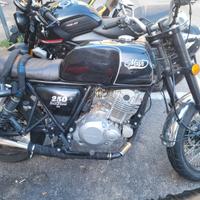 Mash Black Seven 250 - 2019