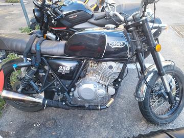 Mash Black Seven 250 - 2019