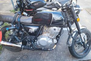 Mash Black Seven 250 - 2019