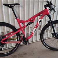 Mtb Rockrider XC100S ruote 29 tg L