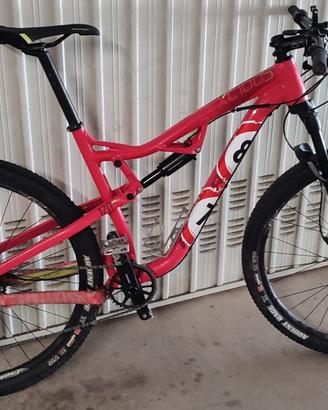Mtb Rockrider XC100S ruote 29 tg L