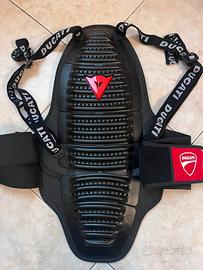 Paraschiena ducati