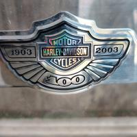 parabrezza Harley-Davidson Sportster 1200