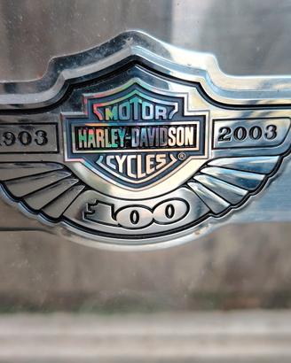 parabrezza Harley-Davidson Sportster 1200